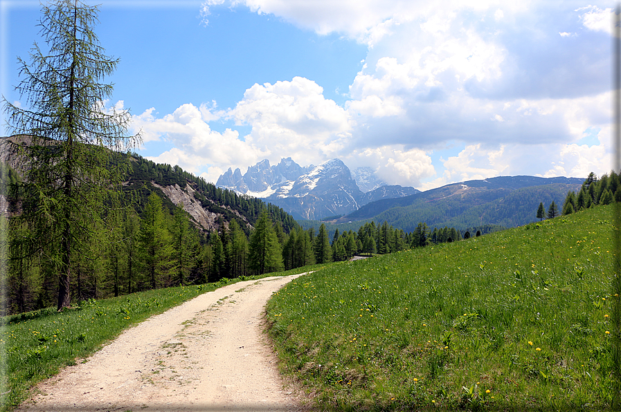 foto Forca Rossa e Passo San Pellegrino